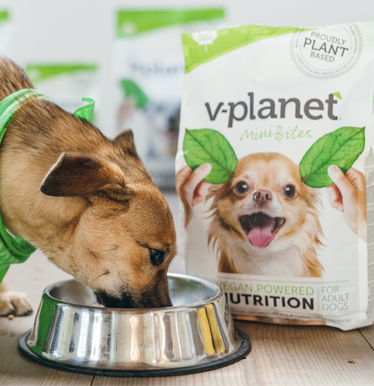 Best vegan dog food 2019 best sale